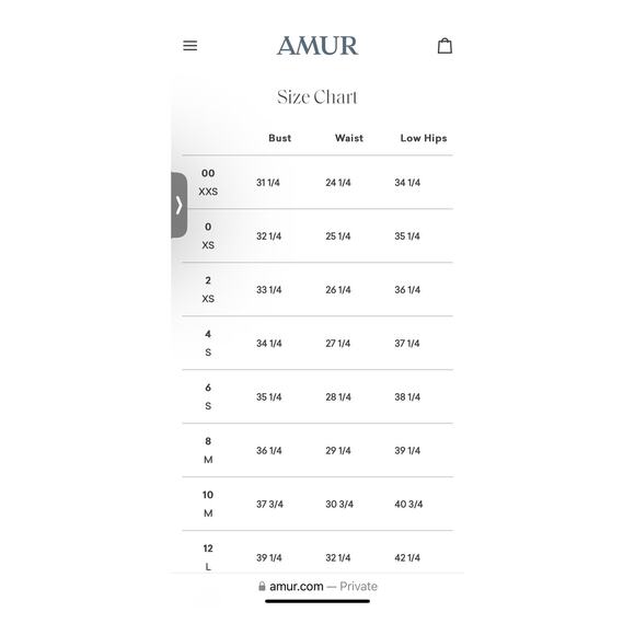 Amur Oriel Bustier Top in Dahlia Pink Fuchsia  US 2 XS NEW - Picture 10 of 10